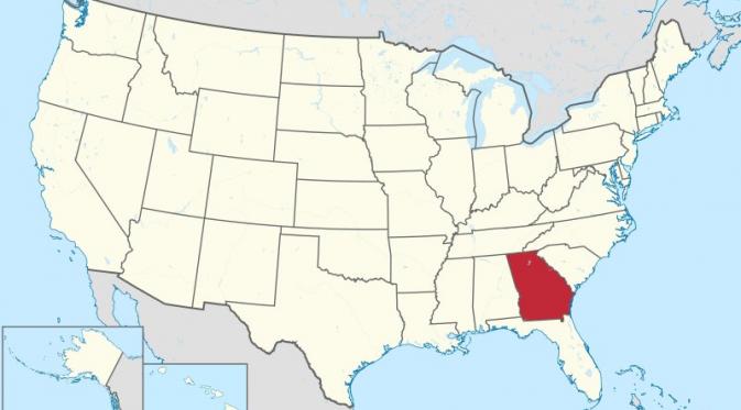 Peta Ilustrasi Negara Bagian Georgia, Amerika Serikat | Via: study.com