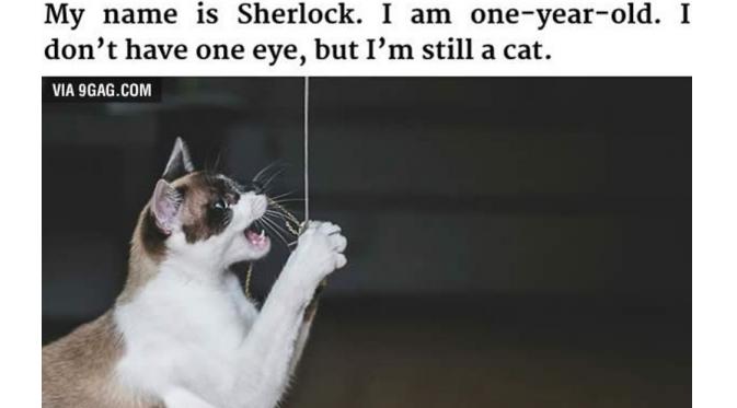 Sherlock (Via: 9gag.com)