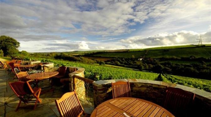 Camel Valley, Cornwall. | via: buzzfeed.com