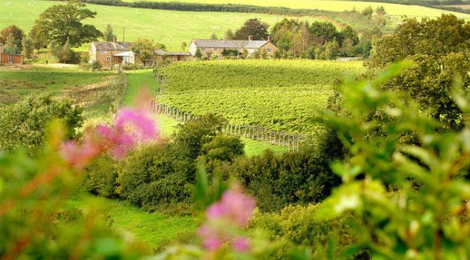 Furleigh Estate, Dorset. | via: buzzfeed.com