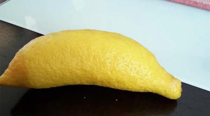 Lemon (Via: 9gag.com)