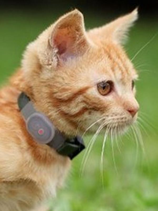 10 Alat yang Bakal Membuat Hidup Kamu Lebih Mudah | via: buzzfee.com