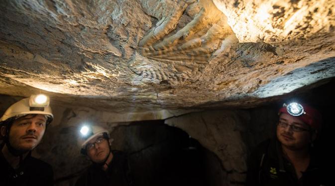 Pengunjung melihat fosil pada dinding kapur terowongan Fan Bay Deep Shelter, tepat di bawah White Cliffs of Dover, Inggris, Kamis (23/7/2015). Terowongan ini diciptakan oleh Perdana Menteri Inggris Winston Churchill 1940. (AFP/Leon Neal)