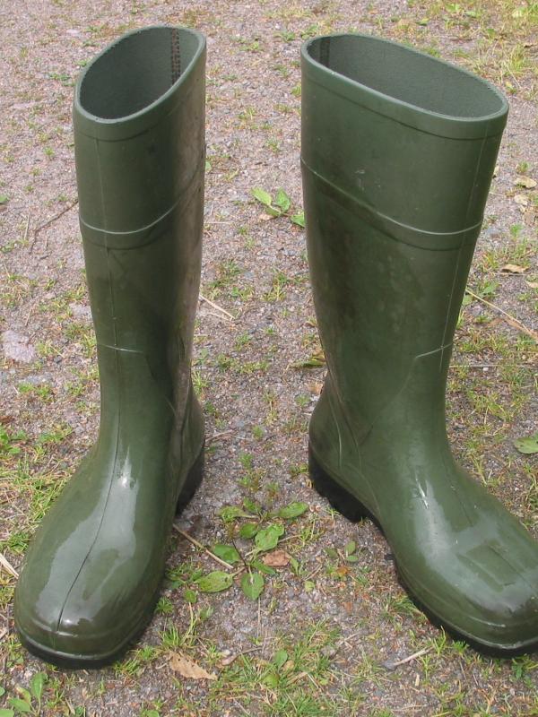 Sepatu boots (Via: en.wikipedia.org)