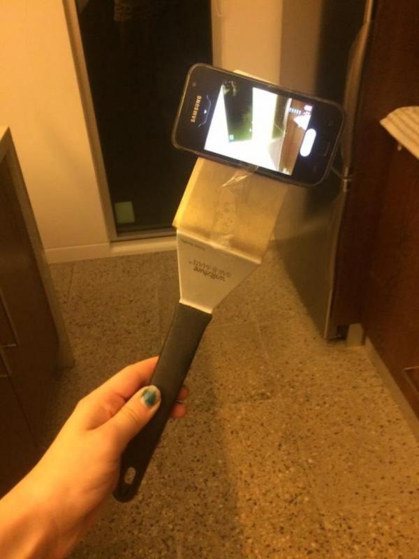 Spatula | via: twitter.com