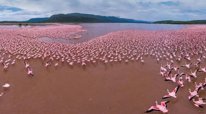 14 Foto yang Sanggup Bikin Kamu Merasa Seperti Burung | via: boredpanda.com