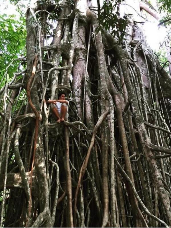 Billy Syahputra syuting film 'Warisan Olga'. foto; Instagram