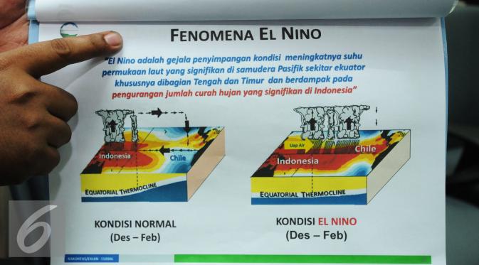 Petugas BKMG menunjukkan grafik fenomena El Nino di gedung BMKG, Jakarta, Jumat (7/8/2015). BMKG memprediksi disebagian wilayah Indonesia akan kekeringan hingga Desember mendatang. (Liputan6.com/Helmi Fithriansyah)