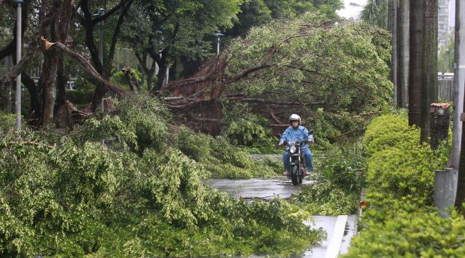 Pohon-pohon tumbang diterjang Topan Soudelor di Taiwan. (Reuters)
