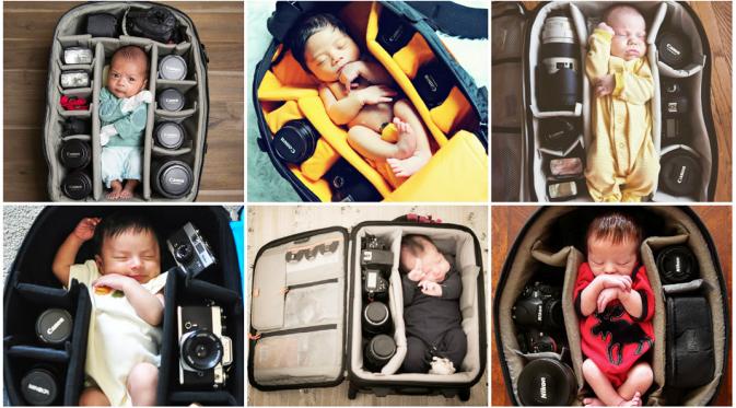Bayi-bayi fotogenik di dalam tas kamera. (boredpanda.com)