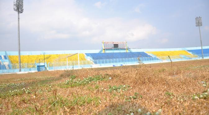 Rumput lapangan di Stadion Kanjuruhan mengering kurang perawatan. (Bola.com/Kevin Setiawan)