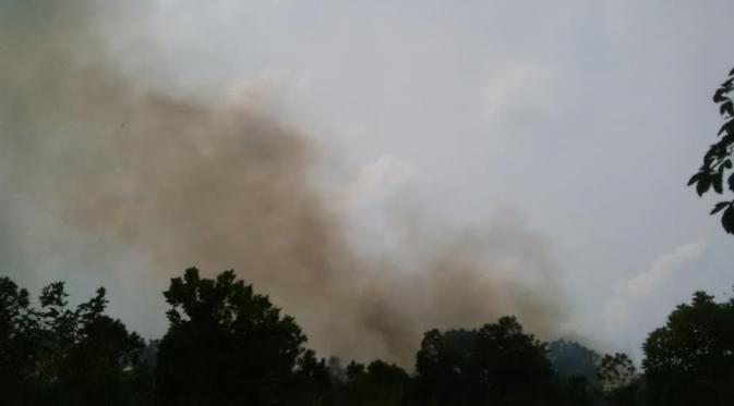 Kebakaran lahan dan hutan di Pontianak, Kalimantan Barat. (Liputan6.com/Raden AMP)