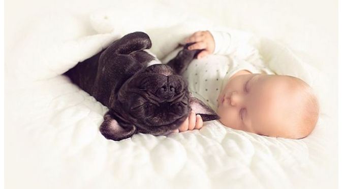 Kedekatan anjing dan bayi ini dalam kehidupan sehari-hari. (Foto: Ivette Ivens)