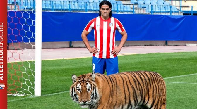 Radamel Falcao berpose bersama Harimau Benggala untuk memperlihatkan 'kebuasannya' di kotak penalti sama seperti harimau