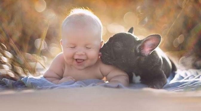 Bayi Dilan dan anjing bulldog bernama Farley | Via: 9gag.com