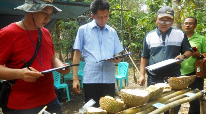 Durian Balaikarangan, Kalimantan Barat