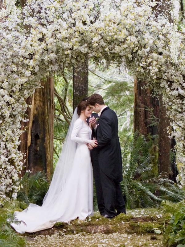 The Twilight Saga: Breaking Dawn — Part 1 (2011) | Via: twilightsaga.wikia.com