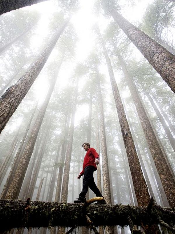 6 Tips Fotografi untuk Mengabadikan Panorama Taman Nasional. | via: photography.nationalgeographic.com