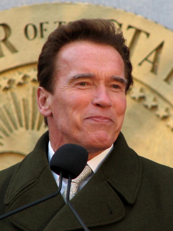 Arnold Schwarzenegger (via wikipedia.org)