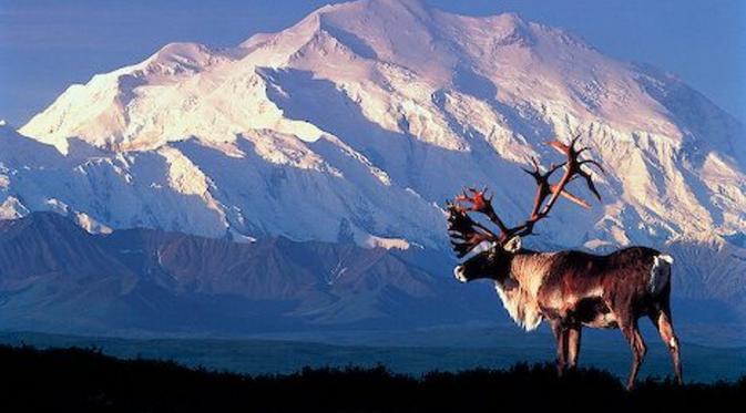Gunung Tertinggi di Amerika Serikat Berganti Nama, dari Gunung McKinley ke Gunung Denali, sesuai nama aslinya. (Alaska-in-Picture) 