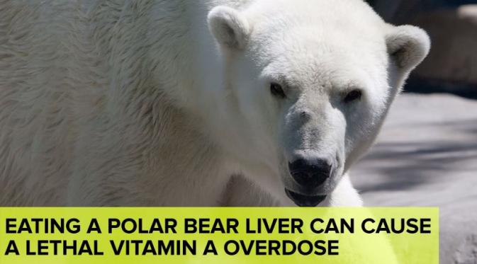 14 Fakta Nggak Penting tapi Keren Banget untuk Disimak