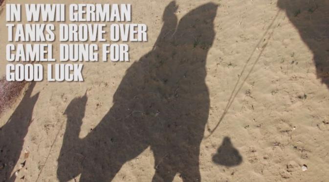 Pada perang dunia ke-2, Jerman membawa kotoran unta di tanknya sebagai keberuntungan. (Via: youtube.com/BuzzfeedVideo)