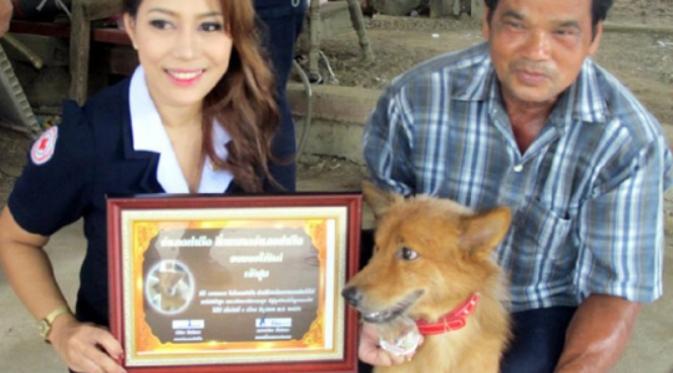 Kisah inspiratif, Pui si anjing Thailand yang menyelamatkan nyawa bayi dibuang ke tong sampah | Via: godvine.com