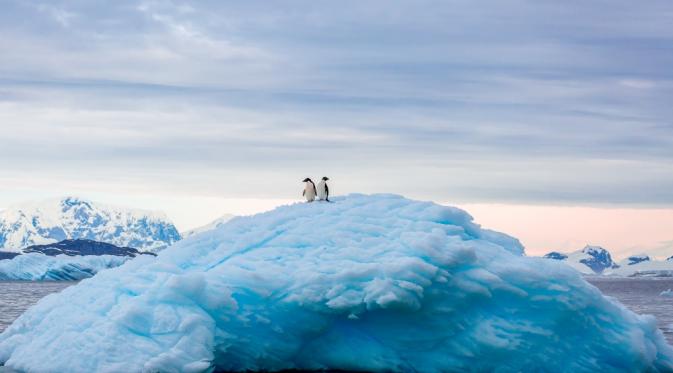 Berdua di antara gunung es, Antartika. | via: travel.nationalgeographic.com