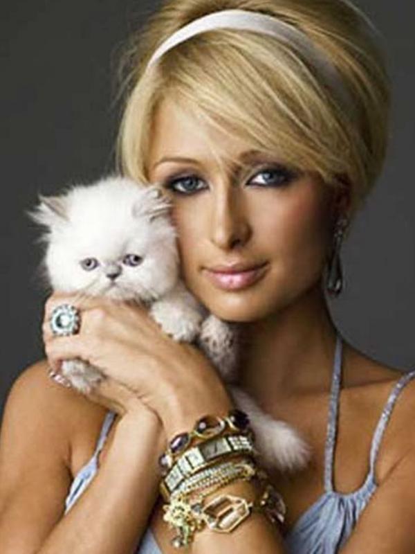 Paris Hilton dan kucing kesayangan | via: sowetanlive.co.za