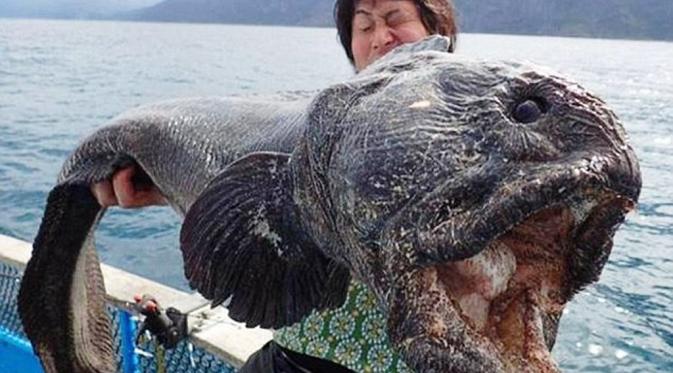 Wolffish atau ikan serigala  (Hoplias aimara) hasil tangkapan nelayan Jepang (Twitter)