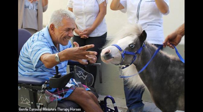Kuda mini menghibur pasien terapi. (foto: Gentle Carousel)