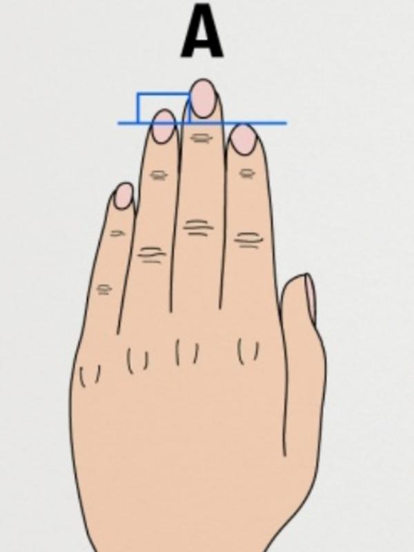 Jari telunjuk lebih pendek dari jari manis. (Via: brightside.me)